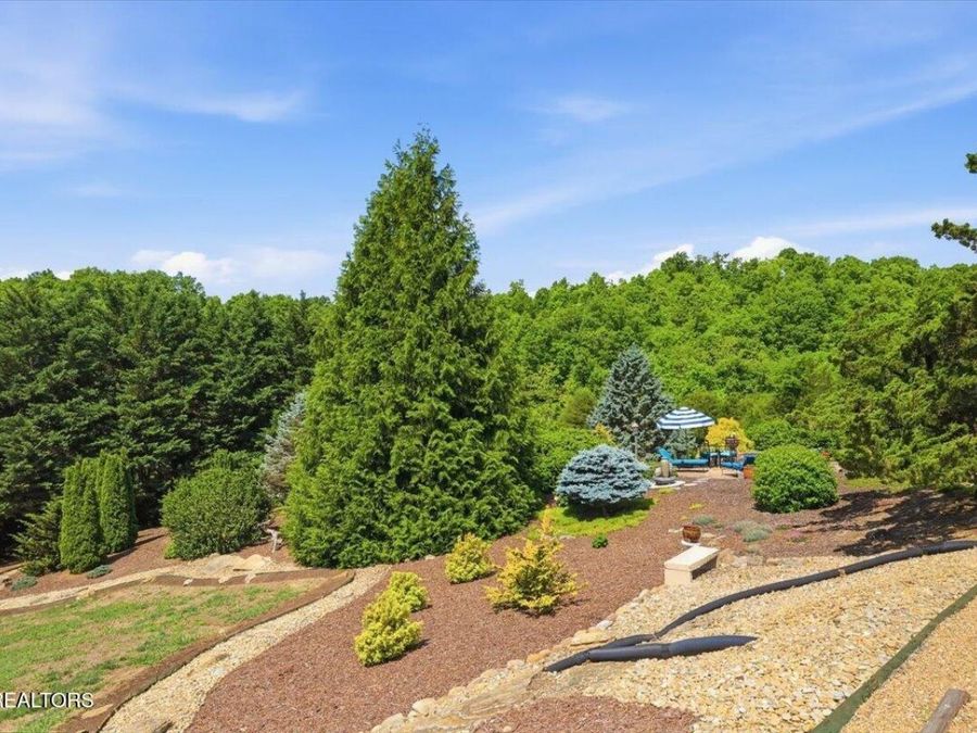 Property Image 59