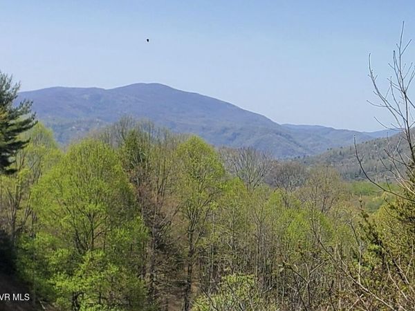Lot 27 Blue Grass Road, Roan Mountain, TN 37687