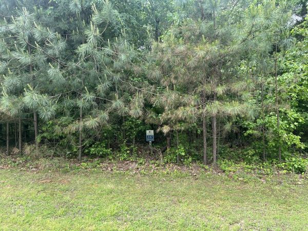 Lot 147 Parrish Ridge, Goreville, IL 62939