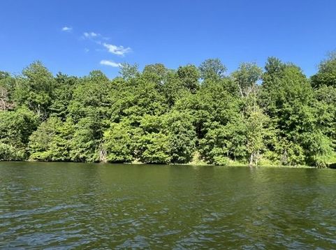 Main Photo