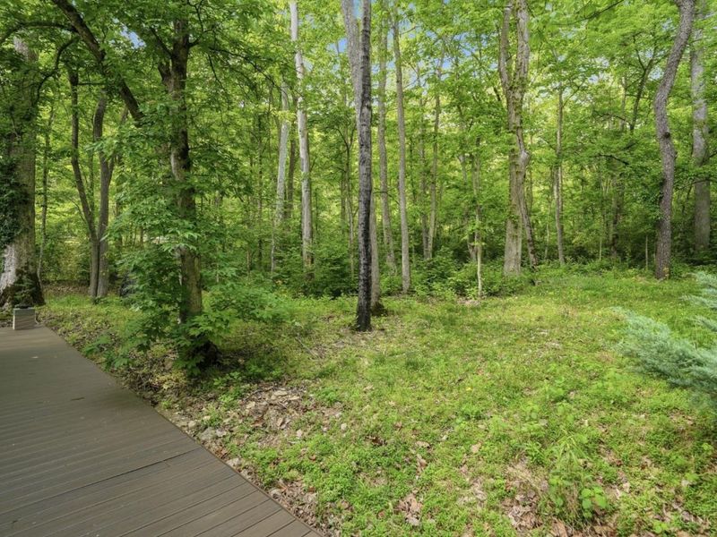 454 8 Mile Road, Cincinnati, OH 45255 Photo 62