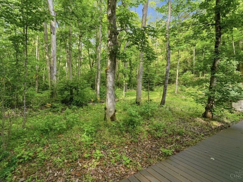 454 8 Mile Road, Cincinnati, OH 45255 Photo 63