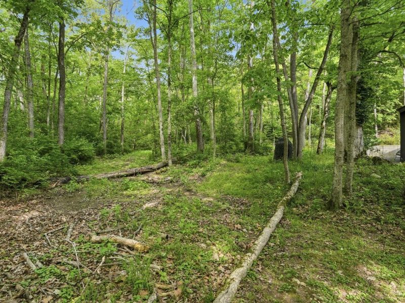 454 8 Mile Road, Cincinnati, OH 45255 Photo 65