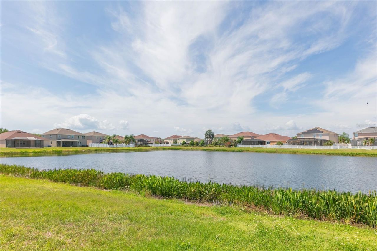 11516 Luckygem Drive, Riverview, FL 33579 Photo
