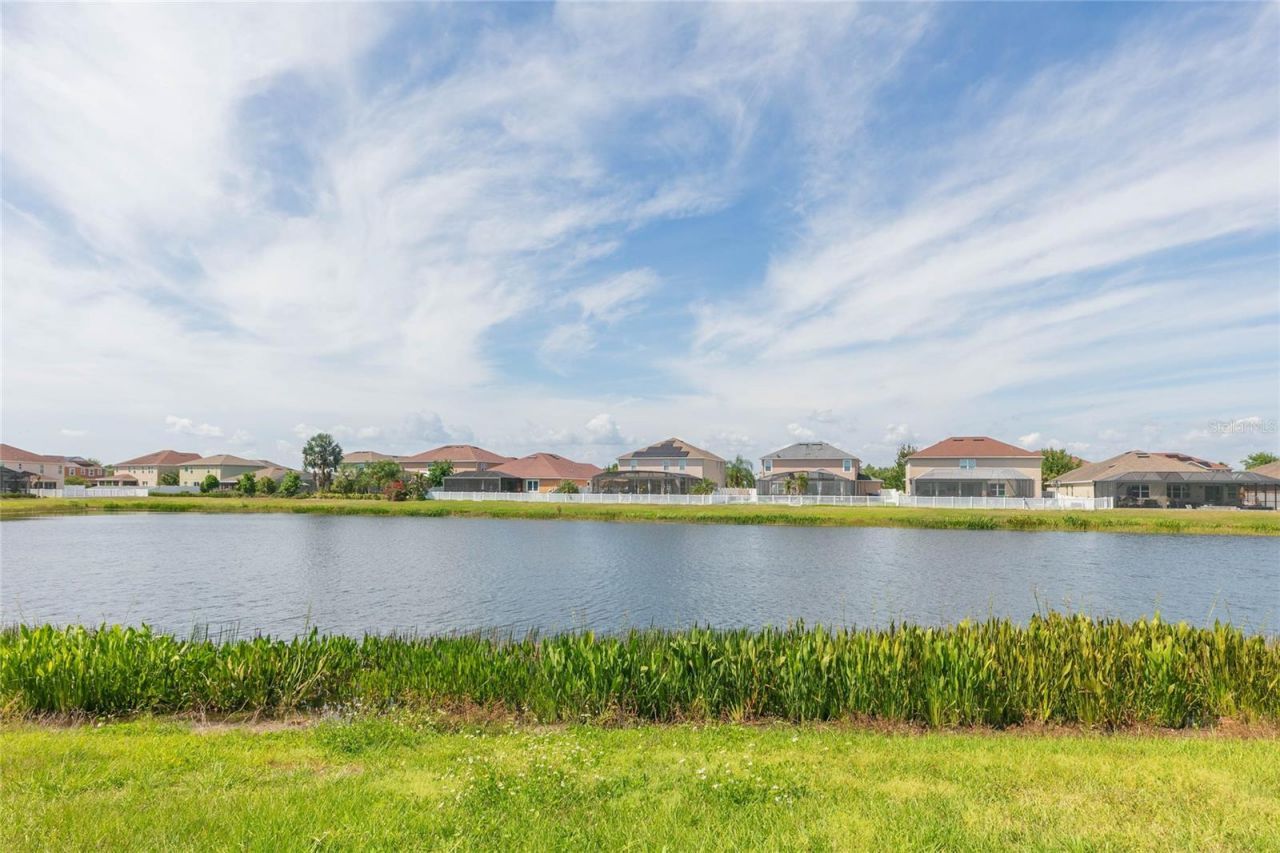 11516 Luckygem Drive, Riverview, FL 33579 Photo
