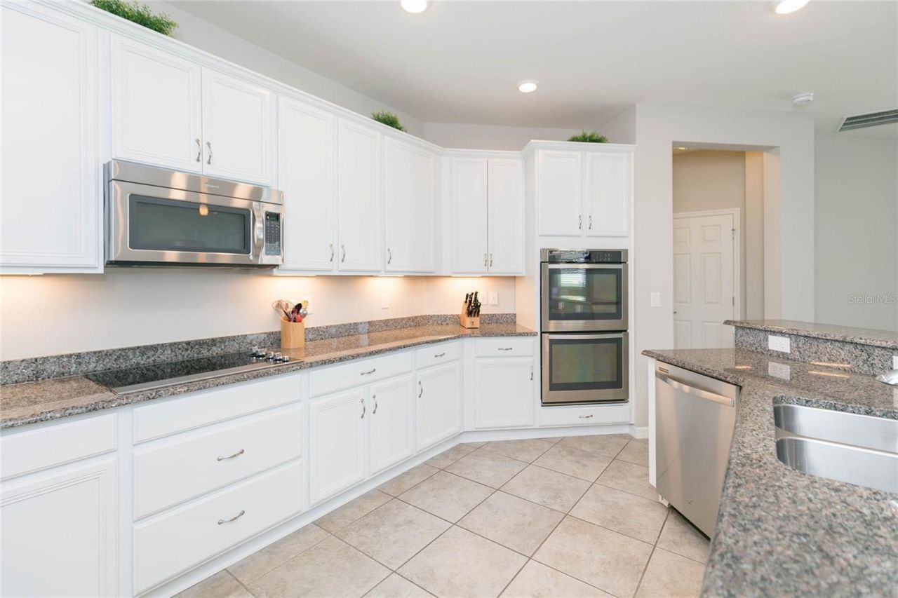11516 Luckygem Drive, Riverview, FL 33579 Photo