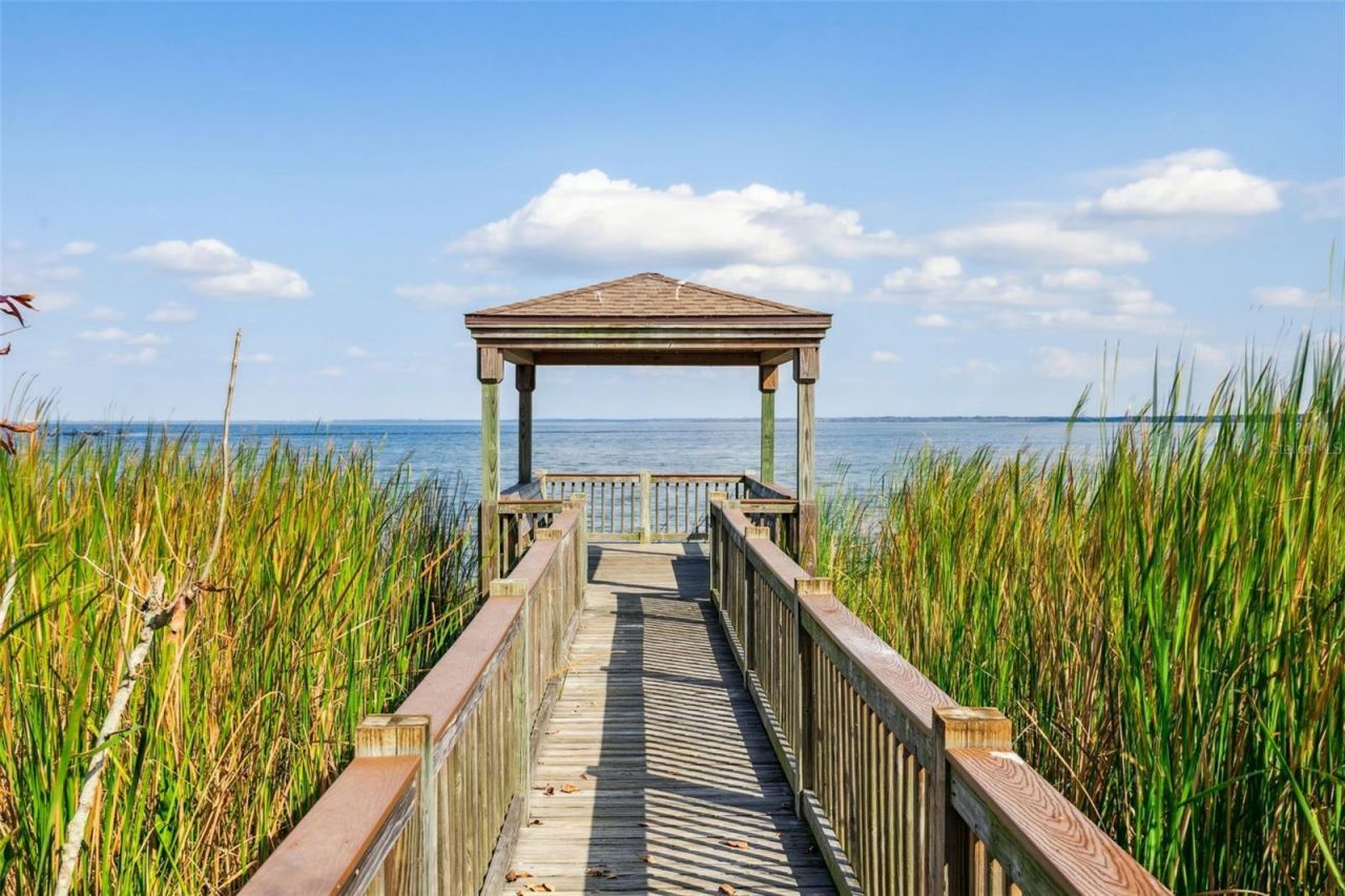 918 Hull Island Drive, Oakland, FL 34787 Photo