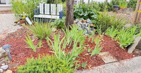 593 W Dundee, Applegate, CA 95703 Photo