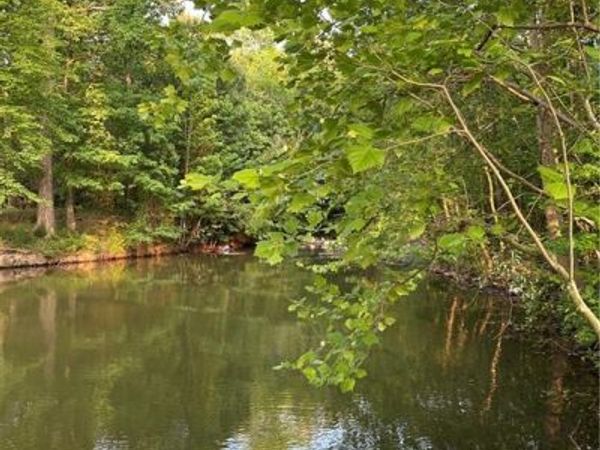 Lot 5 County Road 520, Centre, AL 35960
