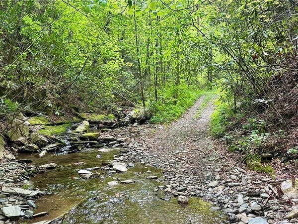 000 N Old NC Highway 16, Millers Creek, NC 28651
