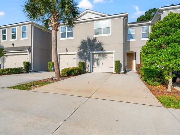 14124 DAMSELFLY DRIVE , TAMPA, FL 33625
