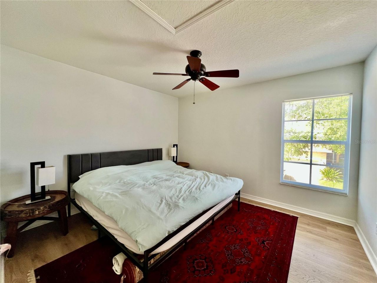 16112 Loneoak View Drive, Lithia, FL 33547 Photo