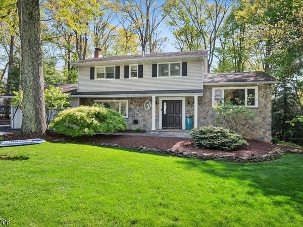 110 Shady Ln, Randolph, NJ 07869