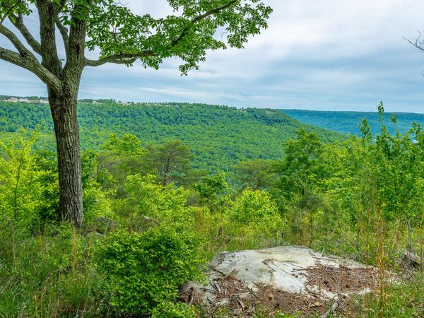 0 Crockett Point, Jasper, TN 37347