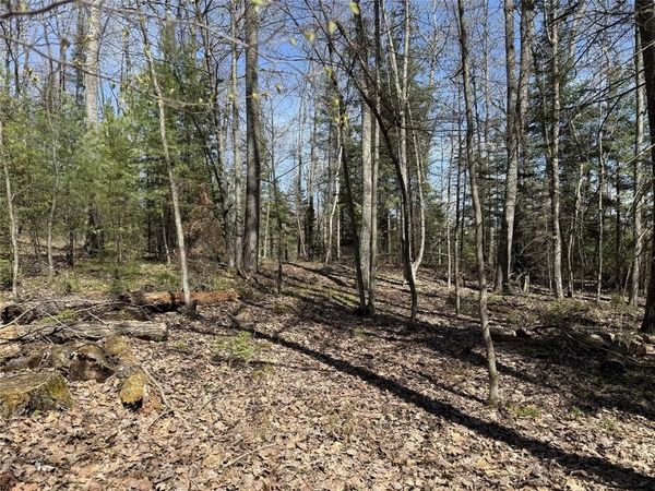 14667 Point Drive, Hayward, WI 54843