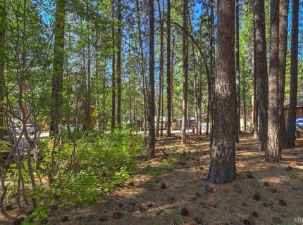3856 Larch Avenue, South Lake Tahoe, CA 96150 Photo