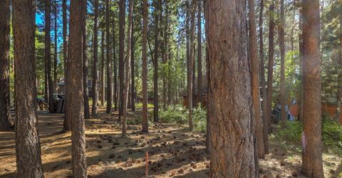 3856 Larch Avenue, South Lake Tahoe, CA 96150 Photo