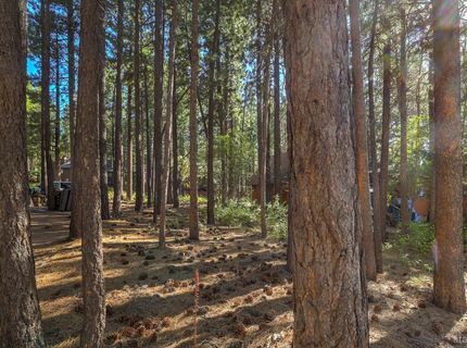 3856 Larch Avenue, South Lake Tahoe, CA 96150 Photo