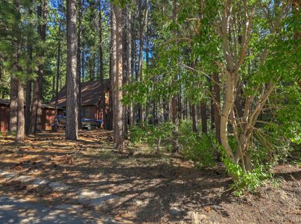 3856 Larch Avenue, South Lake Tahoe, CA 96150 Photo