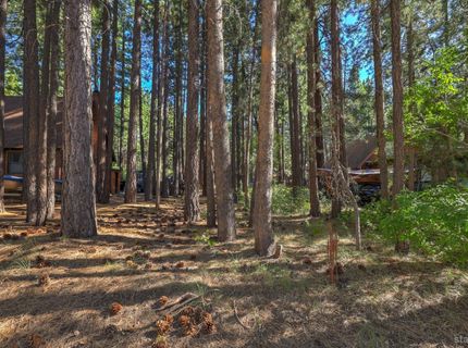 3856 Larch Avenue, South Lake Tahoe, CA 96150 Photo