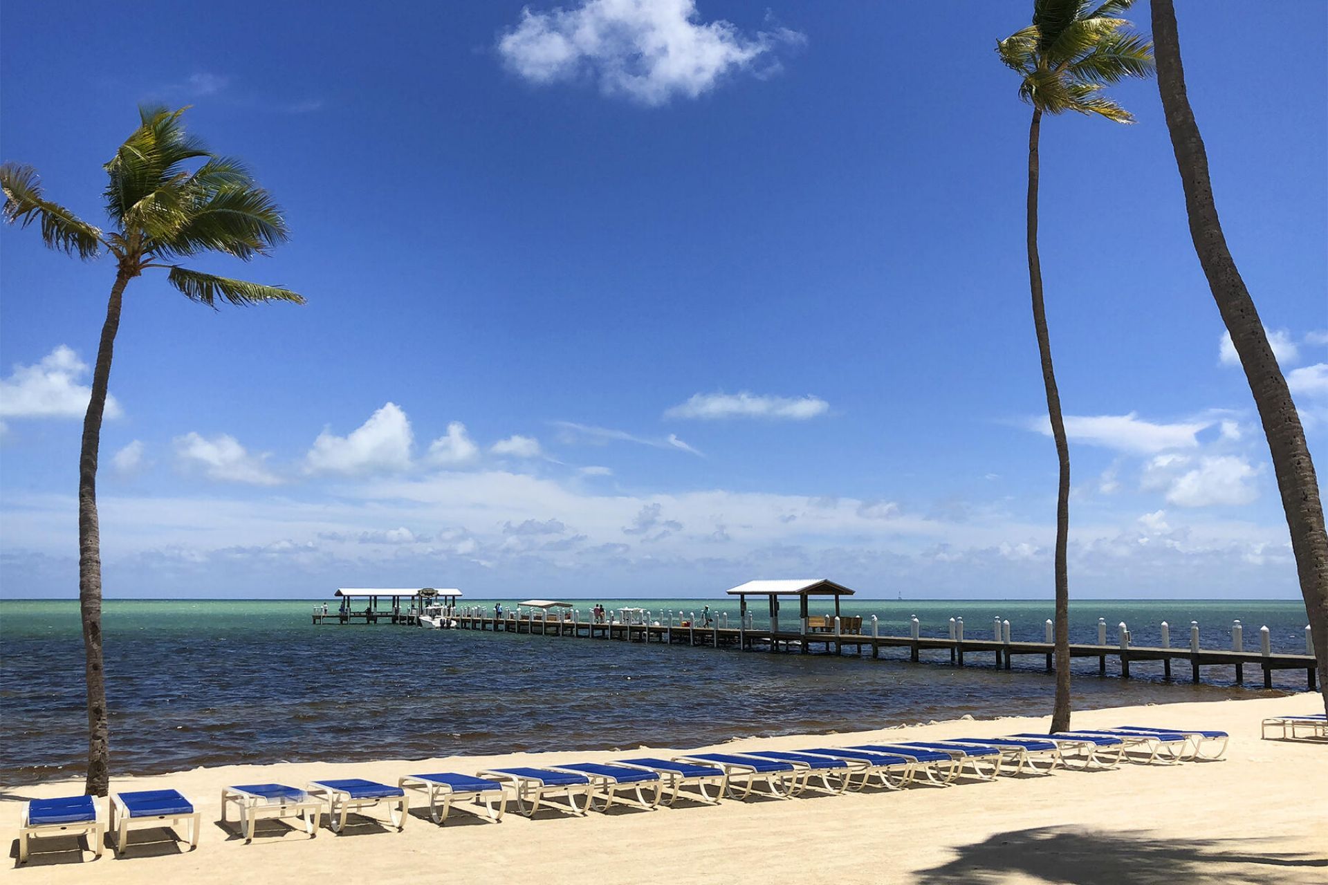 81801 Overseas Highway, Unit 637, Islamorada, FL 33036 Photo