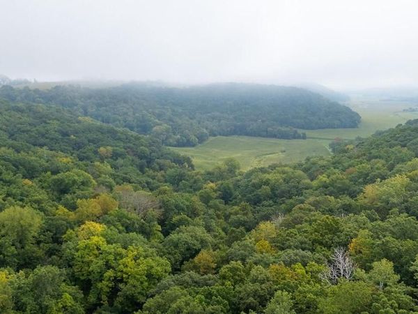 TBD (Lot 4) Goat Back Road , Pepin, WI 54759
