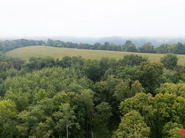TBD (Lot 3) Goat Back Road , Pepin, WI 54759