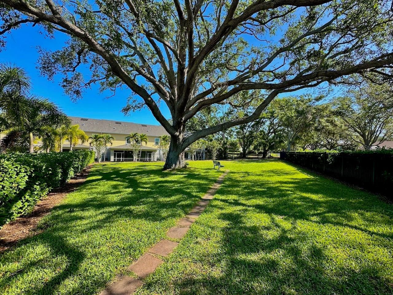 1224 Sunset Lane , Dunedin, FL 34698 Photo