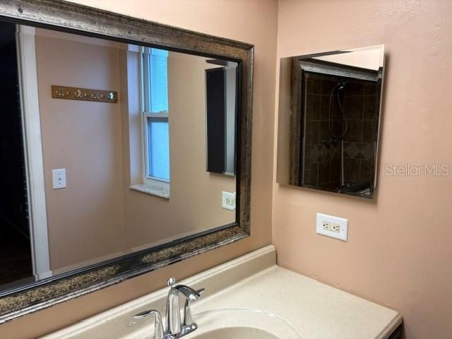 2230 Birchbark Trail, Clearwater, FL 33763 Photo