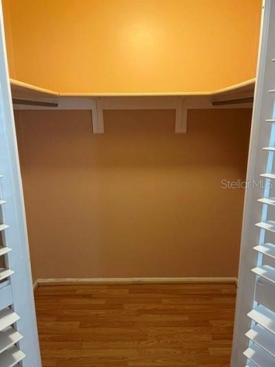 2230 Birchbark Trail, Clearwater, FL 33763 Photo