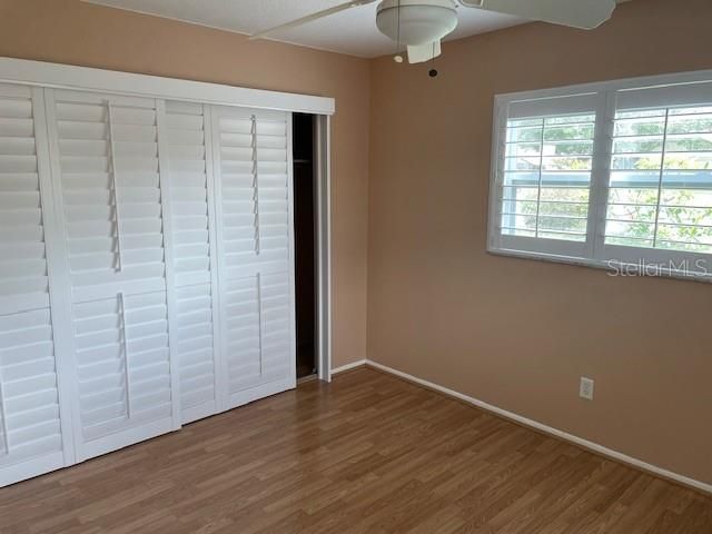 2230 Birchbark Trail, Clearwater, FL 33763 Photo