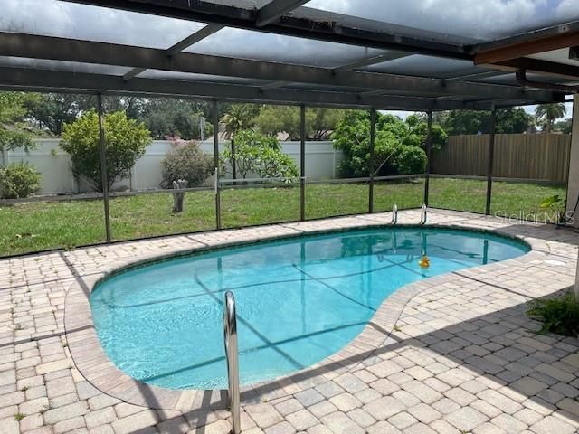 2230 Birchbark Trail, Clearwater, FL 33763 Photo