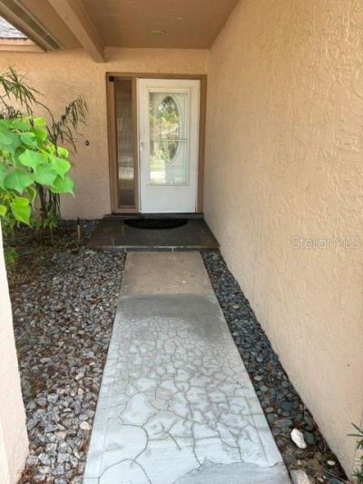 2230 Birchbark Trail, Clearwater, FL 33763 Photo