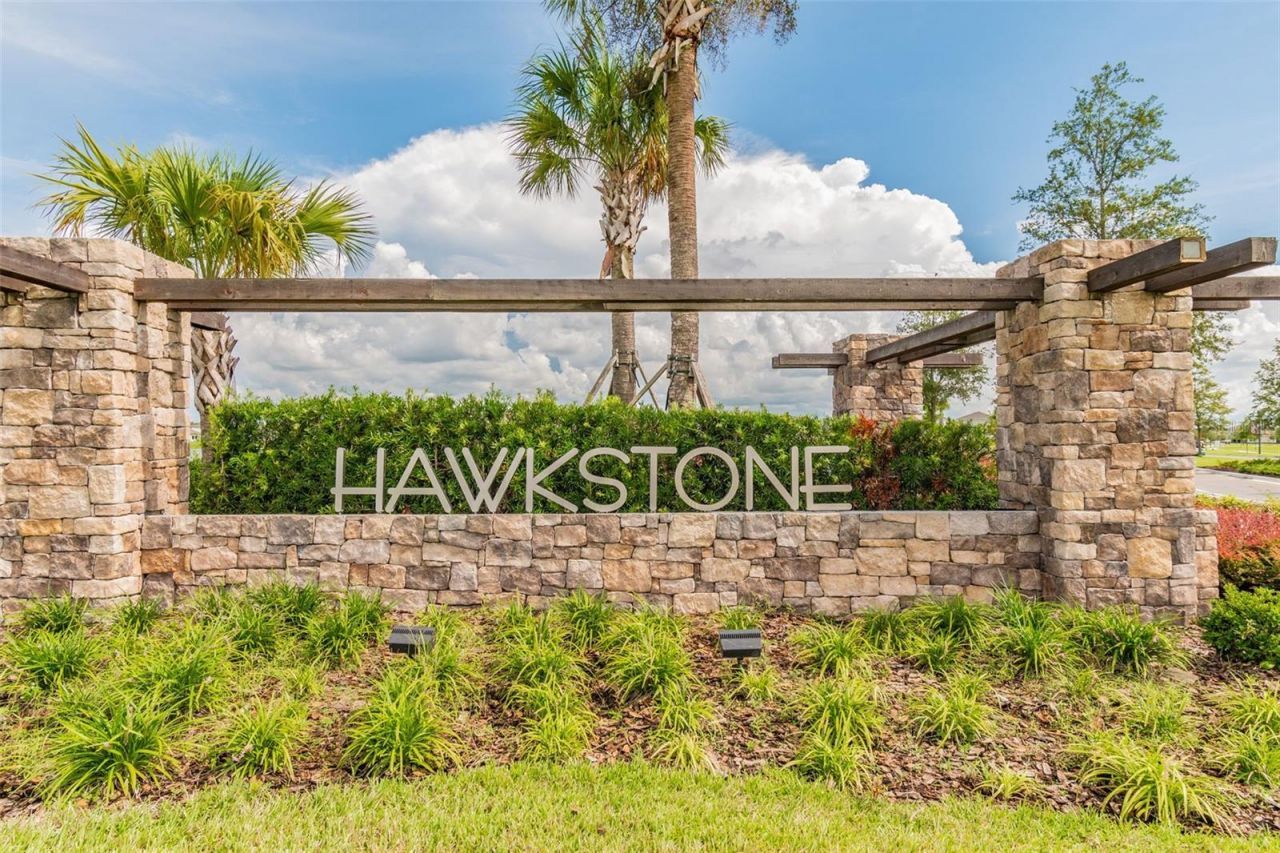 14622 Red Castle Avenue, Lithia, FL 33547 Photo