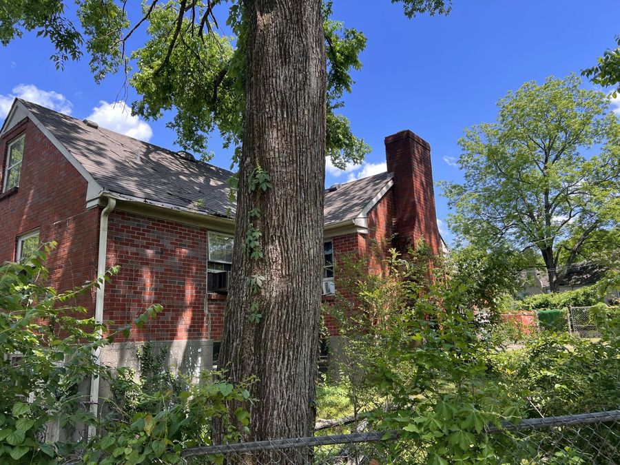 Property Image 8