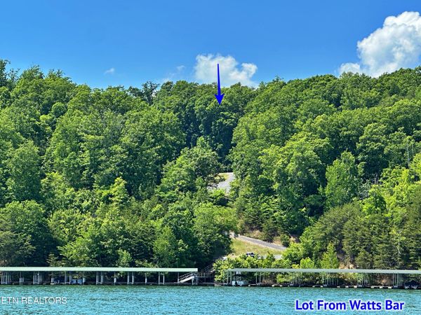450 Hidden Forest Tr, Spring City, TN 37381