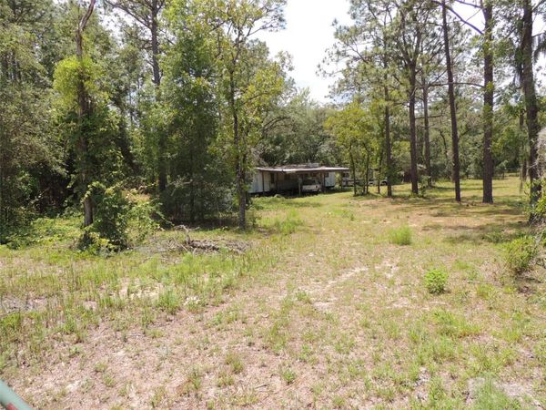 250 NE 131ST AVENUE , WILLISTON, FL 32696