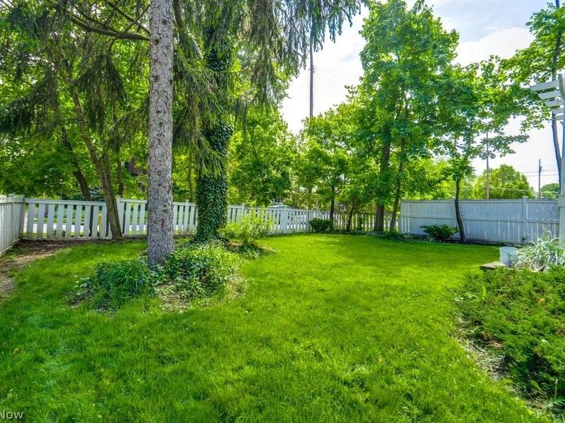 456 Merriman Road, Akron, OH 44303 Photo 40