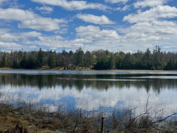 2546 N Wintergreen Trail, Curran, MI 48728