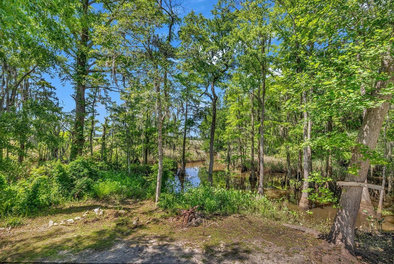 76 Harvest Ct. Photo 36