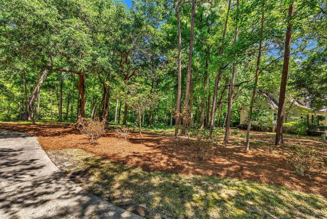 76 Harvest Ct. Photo 4