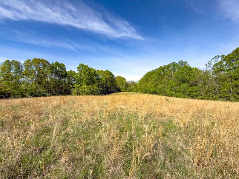 Parcel 2 Perry Ridge Road , Wilkesville, OH 45695 Photo 12