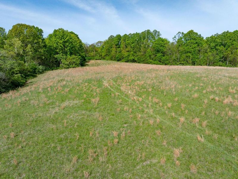 Parcel 2 Perry Ridge Road , Wilkesville, OH 45695 Photo 13
