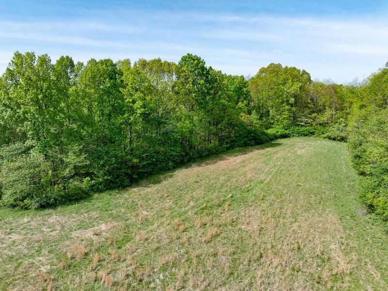 Parcel 2 Perry Ridge Road , Wilkesville, OH 45695 Photo 14