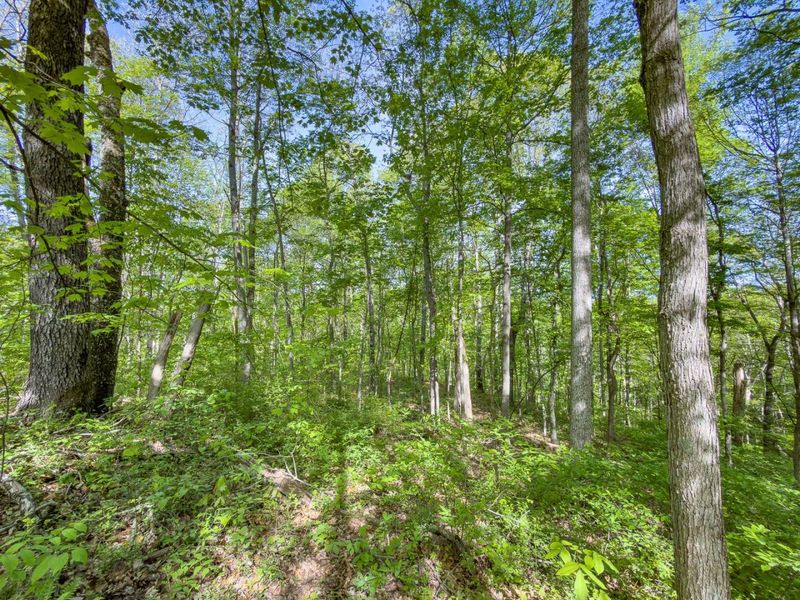 Parcel 2 Perry Ridge Road , Wilkesville, OH 45695 Photo 15