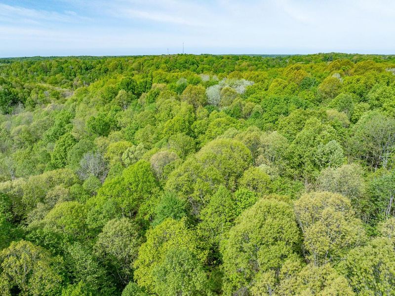 Parcel 2 Perry Ridge Road , Wilkesville, OH 45695 Photo 16
