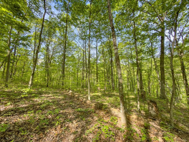 Parcel 2 Perry Ridge Road , Wilkesville, OH 45695 Photo 19