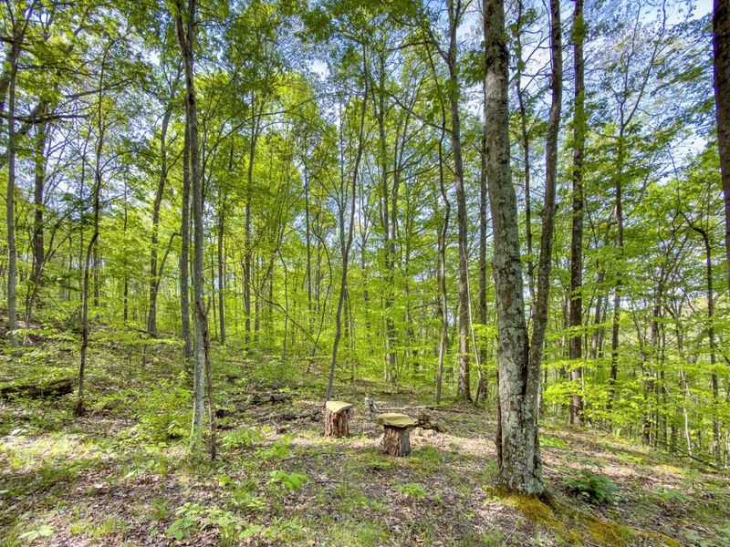 Parcel 2 Perry Ridge Road , Wilkesville, OH 45695 Photo 20