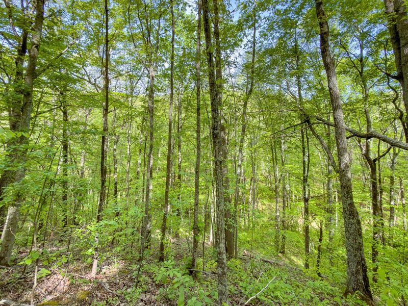 Parcel 2 Perry Ridge Road , Wilkesville, OH 45695 Photo 21