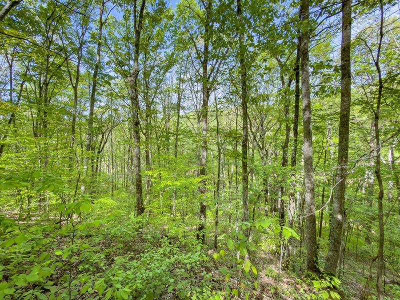 Parcel 2 Perry Ridge Road , Wilkesville, OH 45695 Photo 22